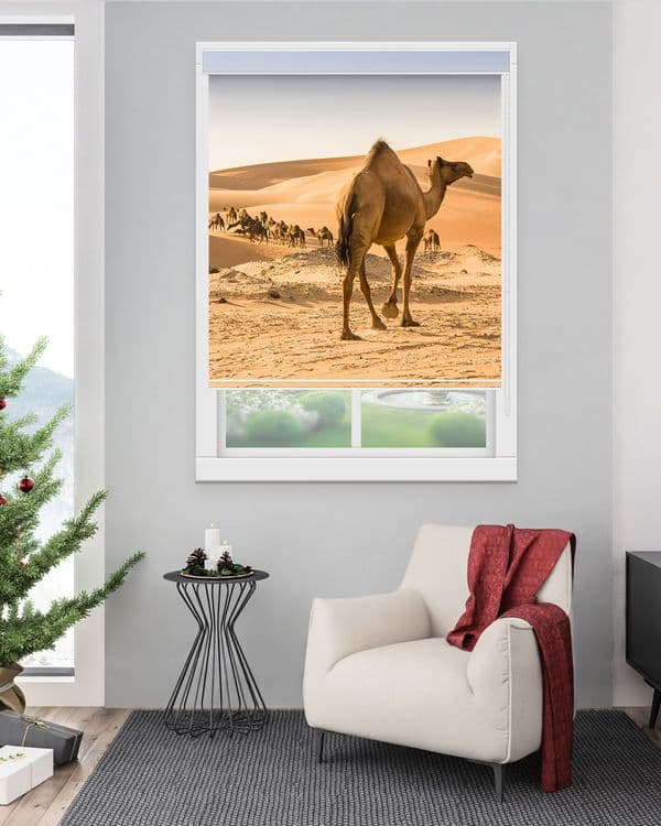 Desert Camel Walk