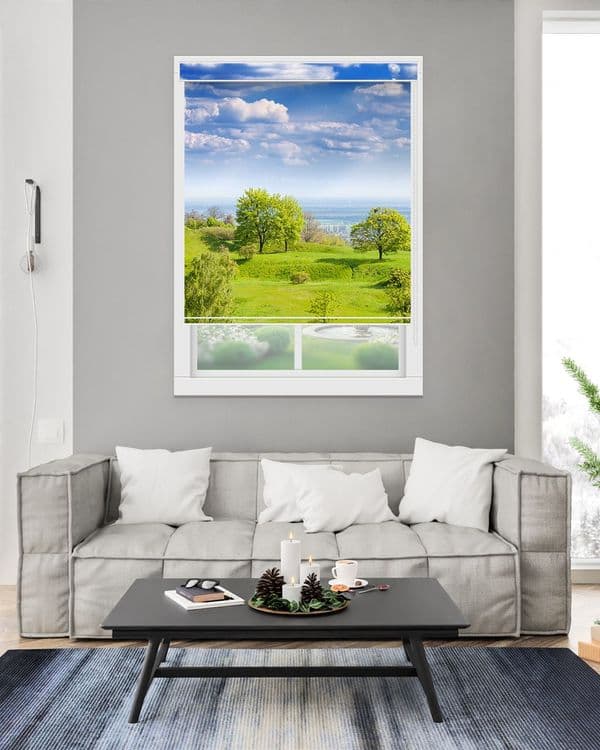 Meadow Mountain View
