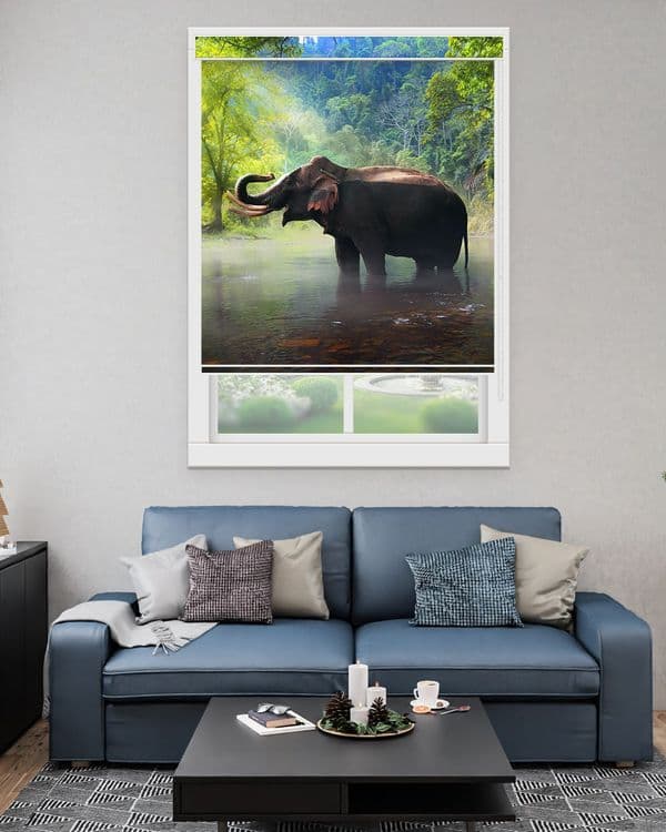 Forest Elephant