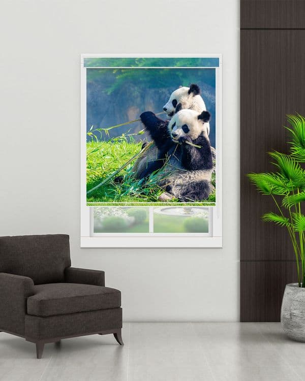 Panda Bamboo Haven