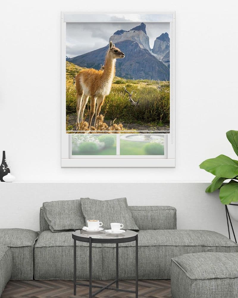 Highland Giraffe view 1