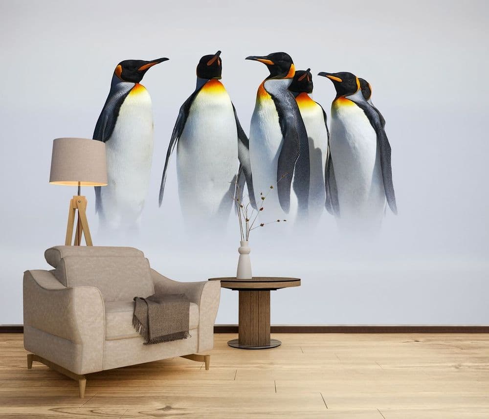 Penguin Collection view 1