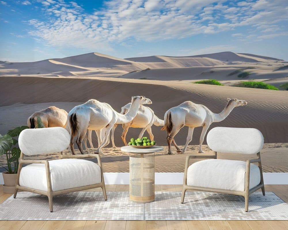 Camel Caravan view 1
