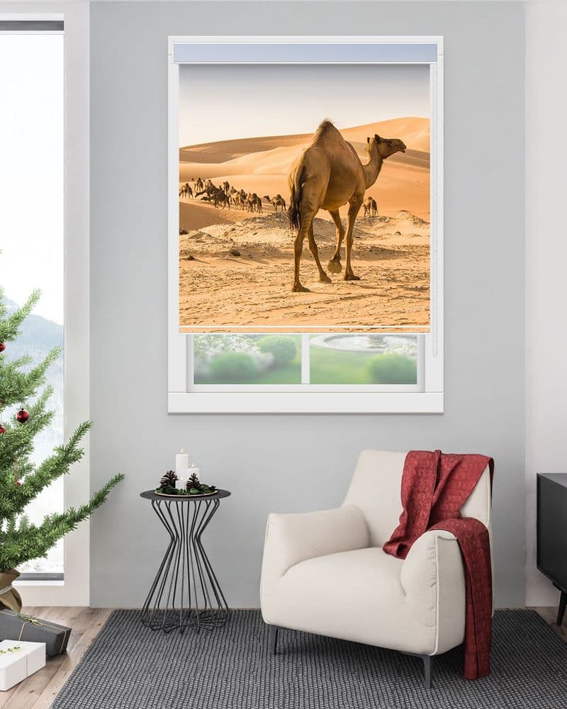 Desert Camel Walk view 1