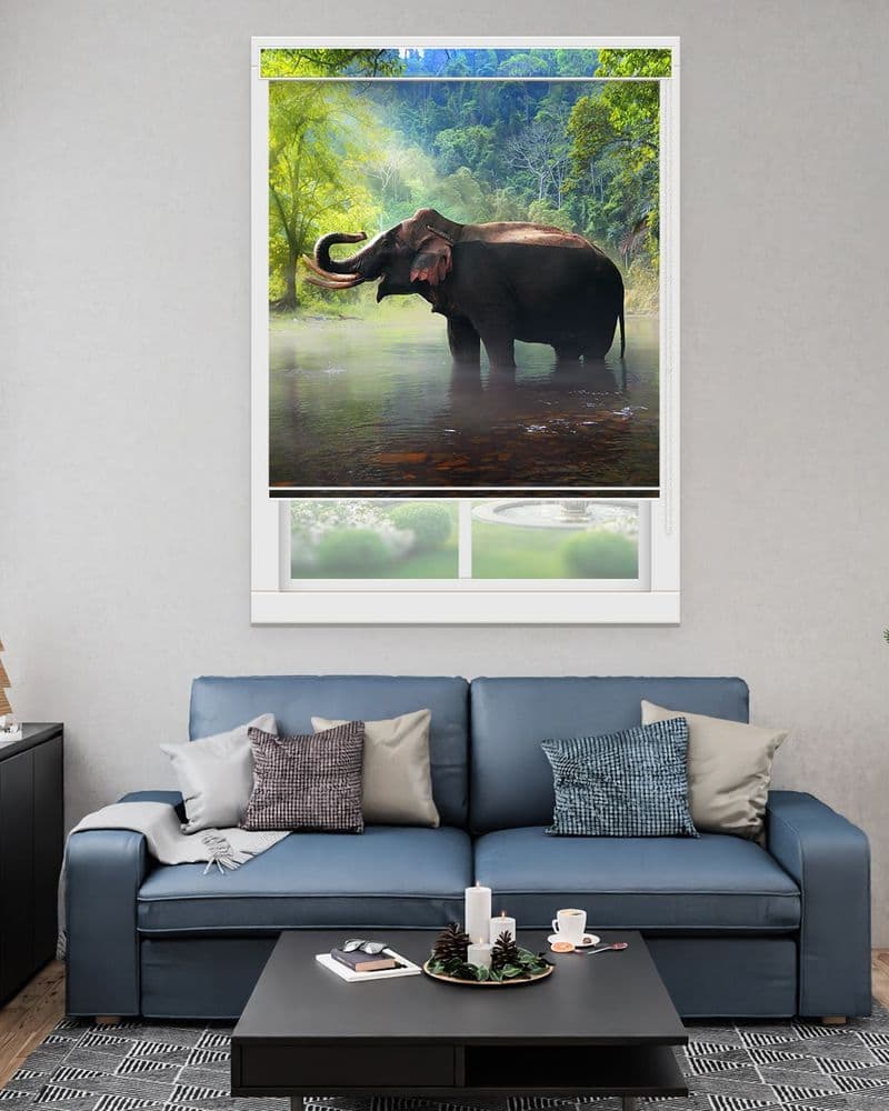 Forest Elephant view 1