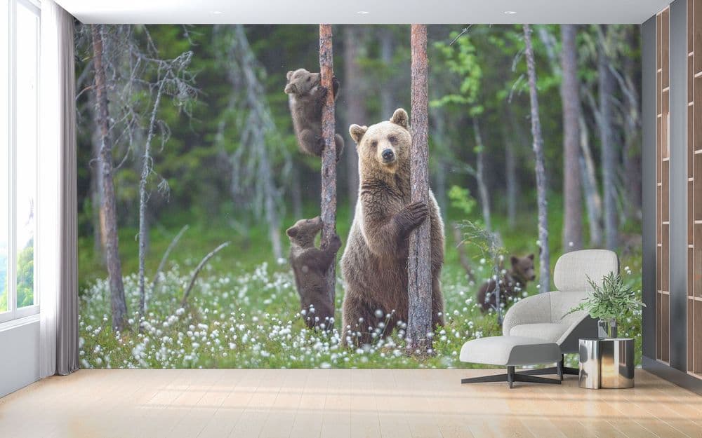 Bear in the Woods view 1