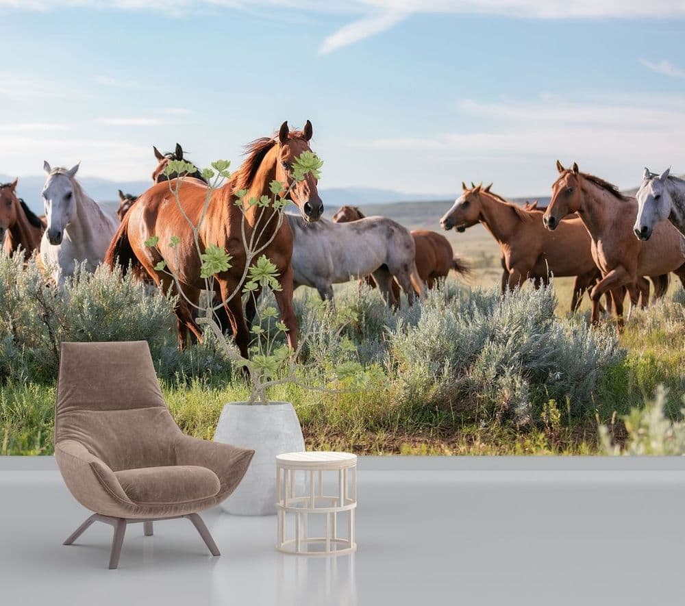 Wild Horses view 1
